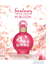 Britney Spears Fantasy in Bloom EDT 100ml pentru Femei Parfumuri pentru Femei