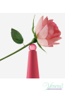 Issey Miyake L'Eau D'Issey Rose & Rose EDP 50ml pentru Femei Parfumuri pentru Femei