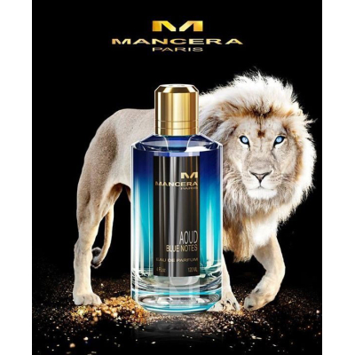 Mancera Aoud Blue Notes EDP 120ml pentru Bărbați și Femei Parfumuri unisex