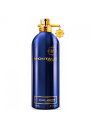 Montale Blue Amber EDP 100ml pentru Bărbați și Femei Unisex Parfumuri