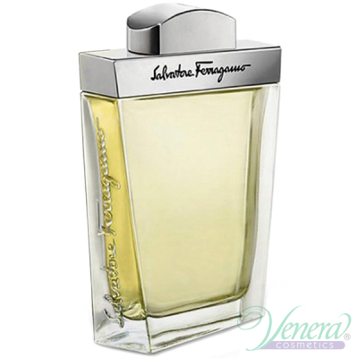 Salvatore Ferragamo Pour Homme EDT 100ml for Men Without Package Products without package