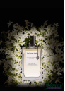 Van Cleef & Arpels Collection Extraordinaire California Reverie EDP 75ml pentru Femei Parfumuri pentru Femei