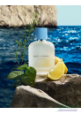 Dolce&Gabbana Light Blue Eau de Toilette 2025 EDT 100ml pentru Bărbați Parfumuri pentru bărbați Dolce&Gabbana Light Blue Eau de Toilette 2025 EDT 100ml pentru Bărbați Parfumuri pentru bărbați