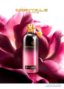 Montale Oud Fool Roses EDP 100ml pentru Bărbați și Femei fără de ambalaj Produse unisex fără ambalaj