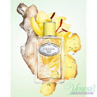 Prada Infusion de Gingembre EDP 100ml pentru Bărbați și Femei fără de ambalaj Produse unisex fără ambalaj