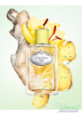 Prada Infusion de Gingembre EDP 100ml pentru Bărbați și Femei fără de ambalaj Produse unisex fără ambalaj Prada Infusion de Gingembre EDP 100ml pentru Bărbați și Femei fără de ambalaj Produse unisex fără ambalaj