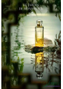 Hermes Le Jardin de Monsieur Li EDT 100ml for Men and Women Women's Fragrance