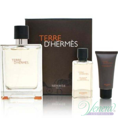 Hermes Terre D'Hermes Set (EDT 100ml + Shower Gel 40ml + After Save Balm 15ml) for Men Sets