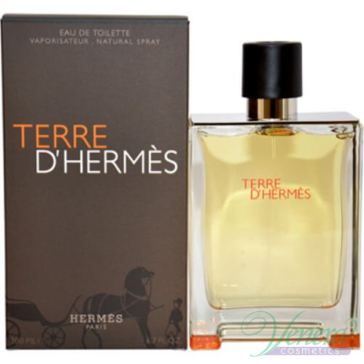 Hermes Terre D'Hermes EDT 50ml for Men Men's Fragrance