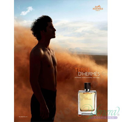 Hermes Terre D'Hermes EDT 100ml for Men Men's Fragrance